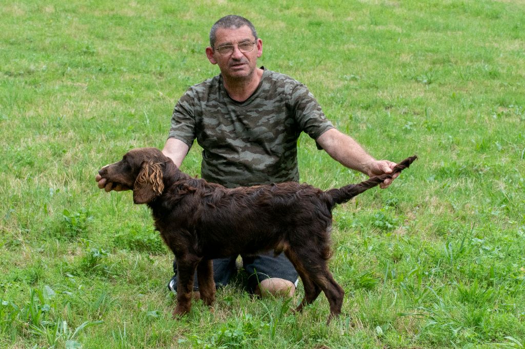 Mon chien Des Forêts Du Sud Chalonnais